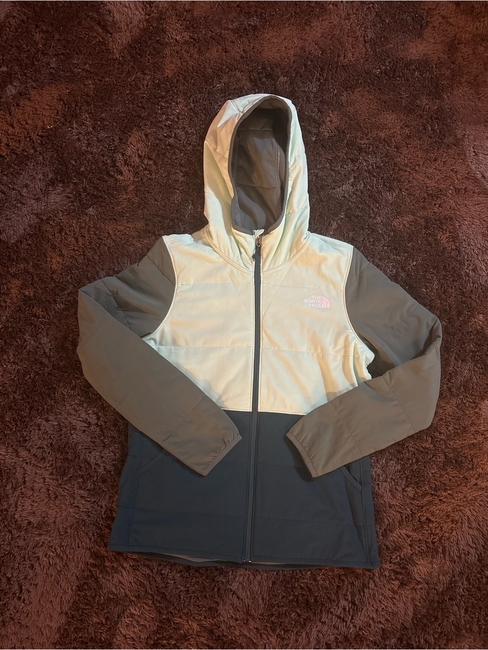 The North Face Women's Colorblock Hooded Jacket